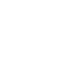 Logo Skoda