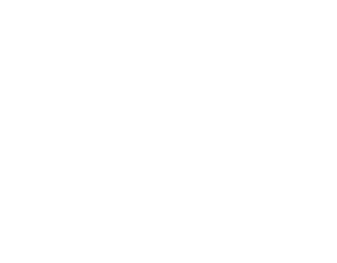 Logo Seat